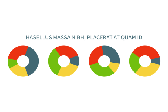 Enhancing Data Visualization with Donut Chart Infographic Templates
